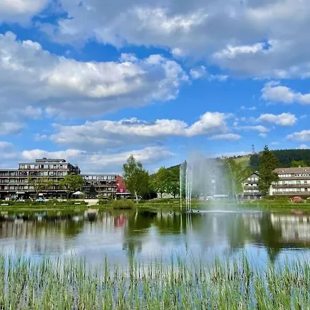 Ferienhaus Harz Goslar