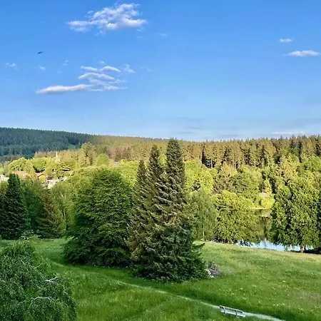 Ferienhaus Harz Goslar